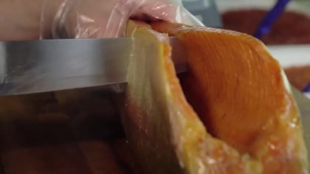 Cutting sea fish. Delicatessen. Seafood. — Stock Video