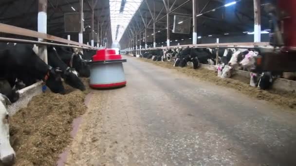 Os agricultores robôs estão programados para trabalhar nas instalações da fazenda para alimentação animal . — Vídeo de Stock