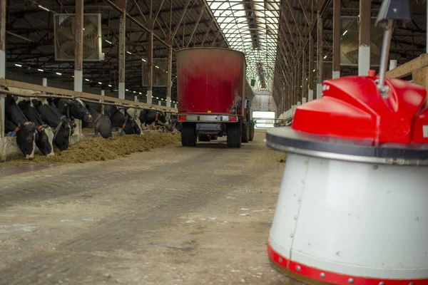 Фермеры-роботы запрограммированы работать на ферме для кормления животных . — стоковое фото