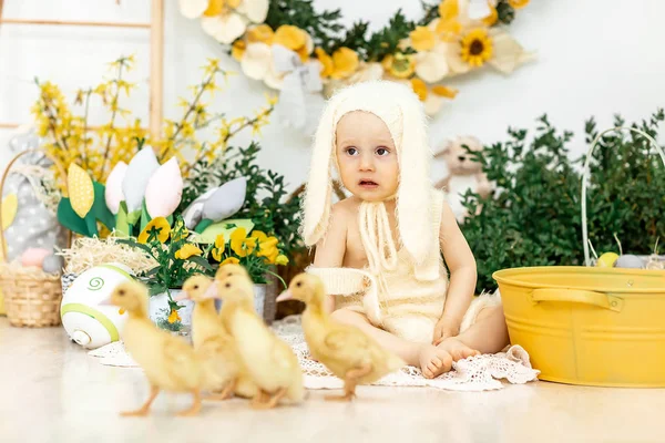 Söt leende baby i kanin kostym i färgade påsk dekorationer, påsk koncept — Stockfoto