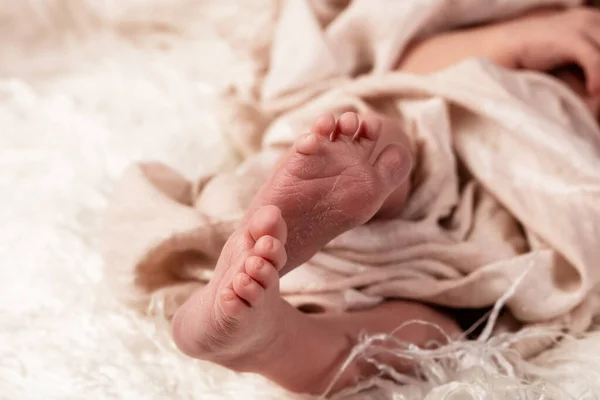 Pequenos Pés Bebê Crianças Recém Nascidas Foto Taxa Bebê Recém — Fotografia de Stock