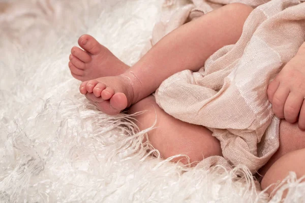 Pequenos Pés Bebê Recém Nascido — Fotografia de Stock