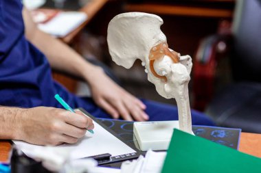 Doktor, pelvis ve uyluk kemiğinin yapay yarı anatomik modelindeki kalça ekleminin yerini gösteriyor. Doktor travmatoloğun ya da ortopedi cerrahının tıbbi fotoğrafları ya da tavsiyeleri..