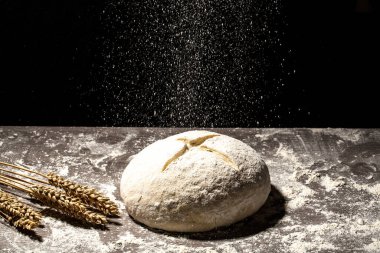 Tahtada buğday kulaklı taze hamur. Taze hamur pişmeye hazır..