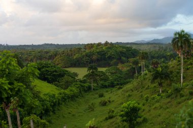 Dominik Cumhuriyeti'nde tropikal Vadisi