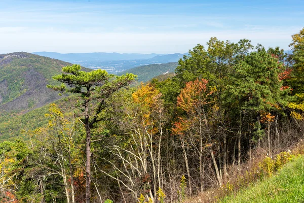 Parque Nacional de Shenandoah — Fotografia de Stock