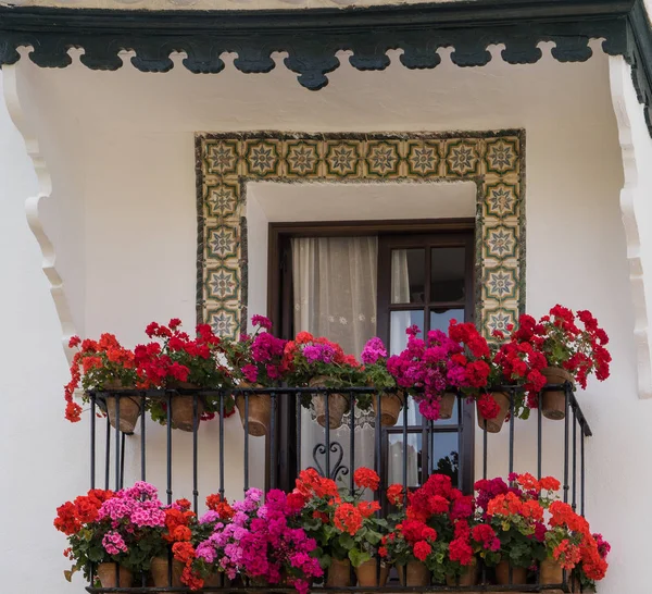 Flores en balcón — Foto de Stock