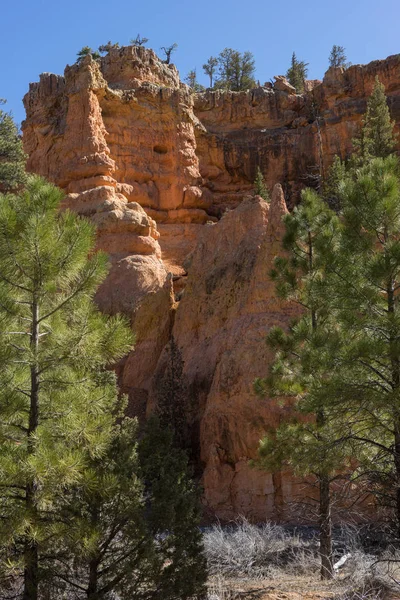 Bryce Canyon, Ut. — Fotografia de Stock