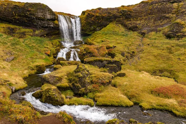 Catarata de ovejas, Islandia —  Fotos de Stock