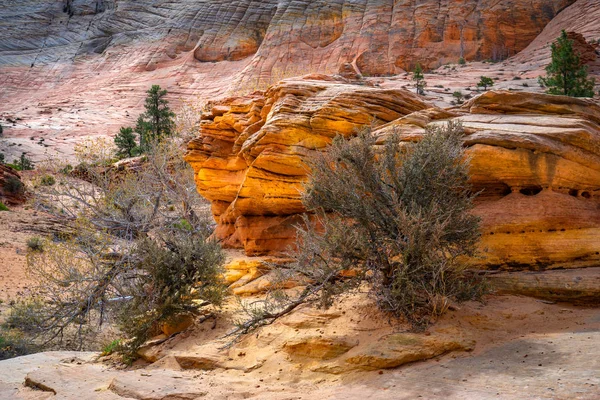 Nationaalpark Zion — Stockfoto