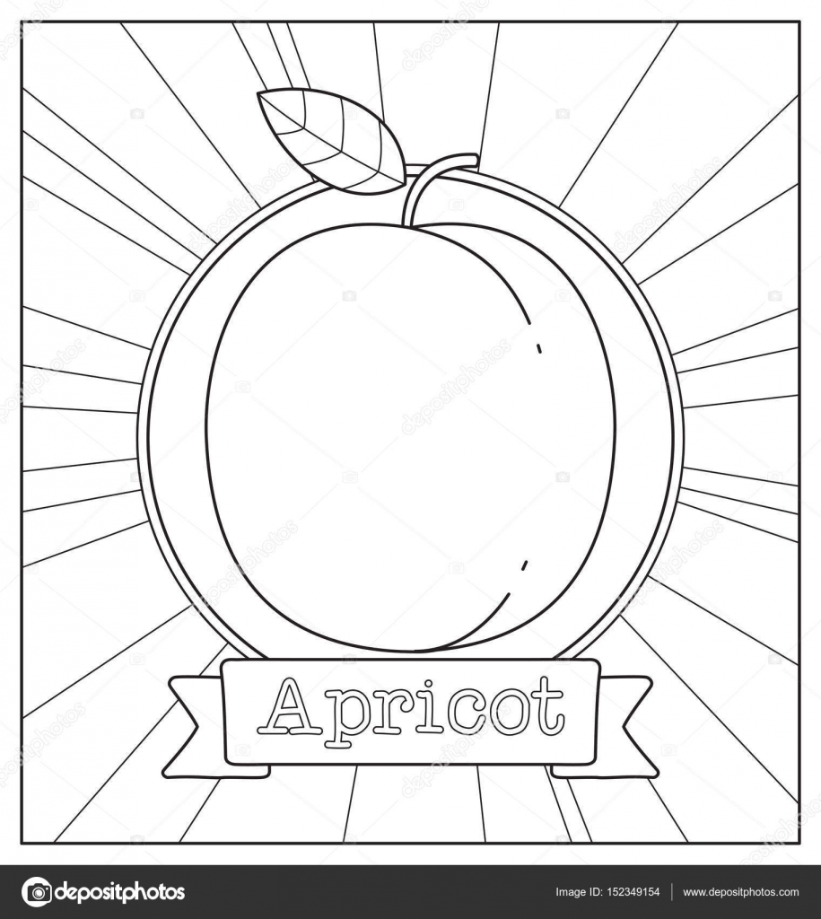 Carino bianco e nero frutta illustrazione per bambini libro da colorare — Vettoriali di rijal