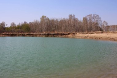 İlkbaharda ormanın yakınındaki doğada resim gibi bir göl.