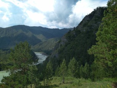 Sahildeki muhteşem manzara nehri. Altai dağlarında. Rusya 'nın yazları kayalık vadide turist gezisi.