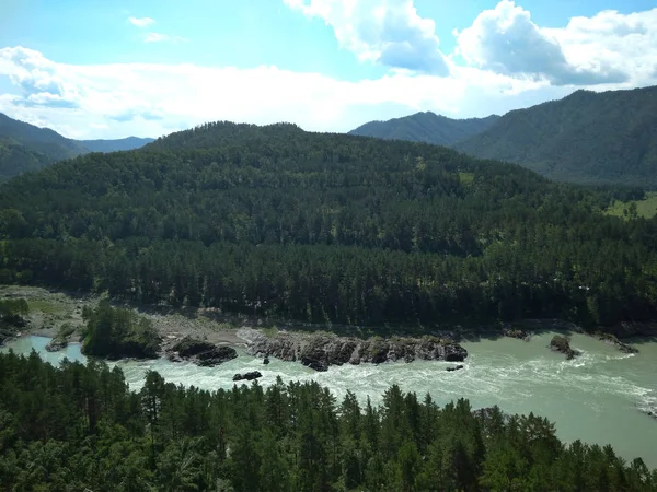 Magnífico río paisaje en la orilla de las montañas de Altai —  Fotos de Stock