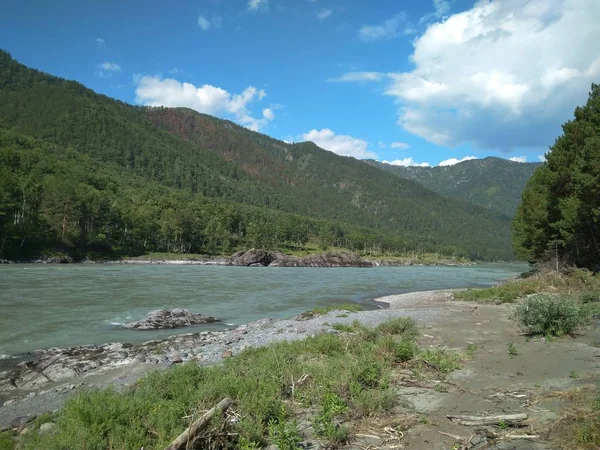 magnificent landscape river on the shore in the Altai mountains tourist trip in the summer of Russia in the rocky gorge