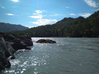 Sahildeki muhteşem manzara nehri. Altai dağlarında. Rusya 'nın yazları kayalık vadide turist gezisi.