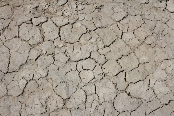 Rissiges Trockenes Land Aus Dem Boden Getrocknete Oberflächenbrut Bei Sommerdürre — Stockfoto