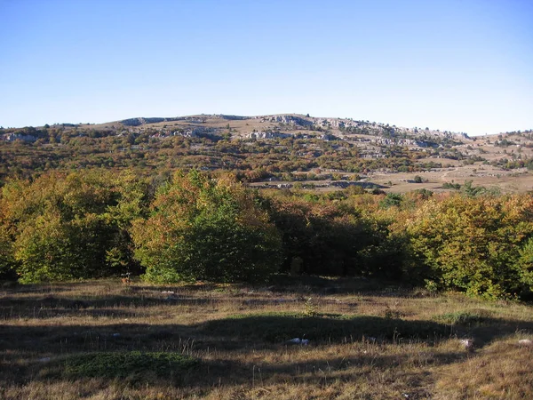 Υπέροχο τοπίο βουνό Altai τουριστικό ταξίδι το καλοκαίρι σε R — Φωτογραφία Αρχείου