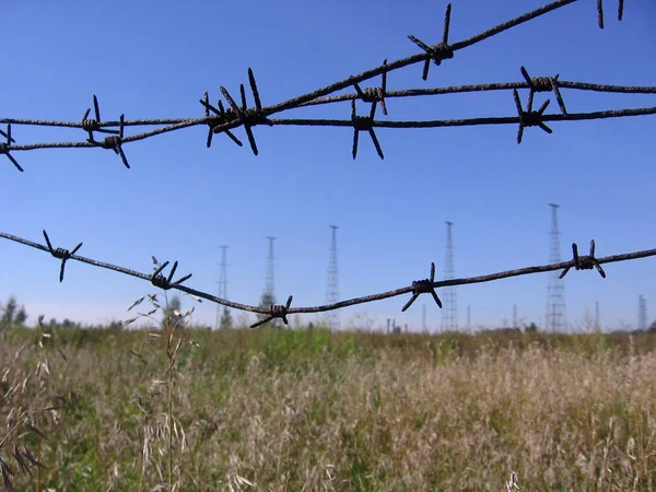 Yeşil alan çim beton sütunlar tarafından çevrili eski dikenli tel çit tehlikeli bölgesinden mı sınırların dışında