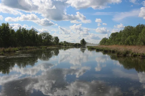 夏は池の上の絵のような風景が空を背景に川の水を釣り — ストック写真