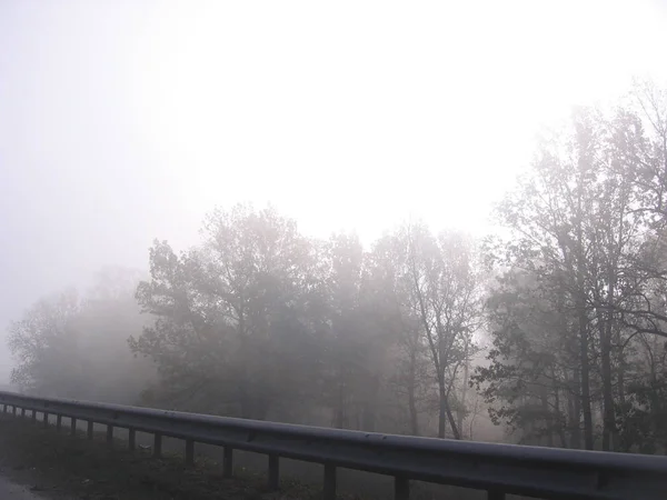 Nevoeiro frio grosso do outono na estrada pela manhã um perigoso — Fotografia de Stock