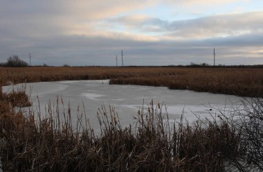 Körfezdeki bir gölün kıyısındaki sonbahar manzarası.