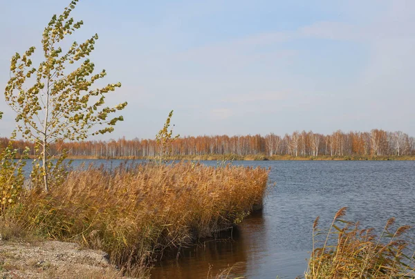 Autumn Landscape Picturesque Lake Dried Yellowed Grass Shore Reflection Water — Stock Photo, Image