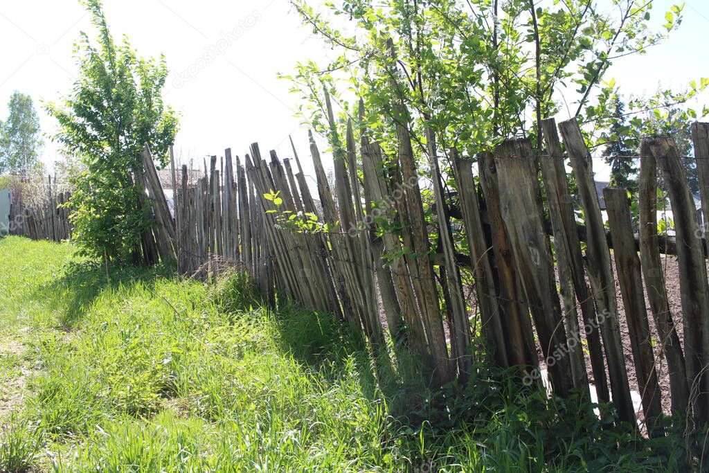an old wooden fence made of abandoned boards broken mowed down in the summer in the village in the garden overgrown with green grass