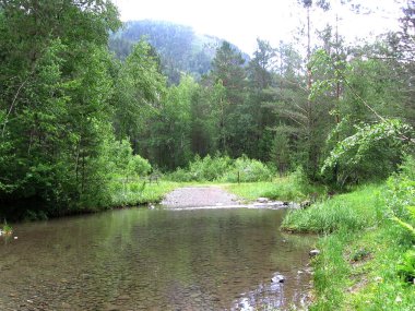 Dağ Koyu 'ndaki su, Altai' deki kayaların arasında sığ sularda.