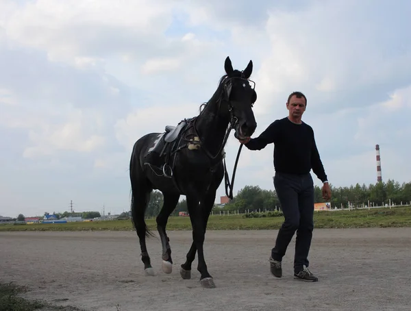 Russia Novosibirsk 2019 Jockey Leads Sports Horse Rider Man — Stock fotografie