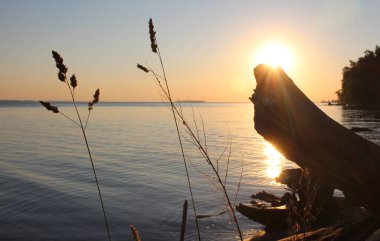 Deniz suyunda gün batımı gün ışığında parlar.