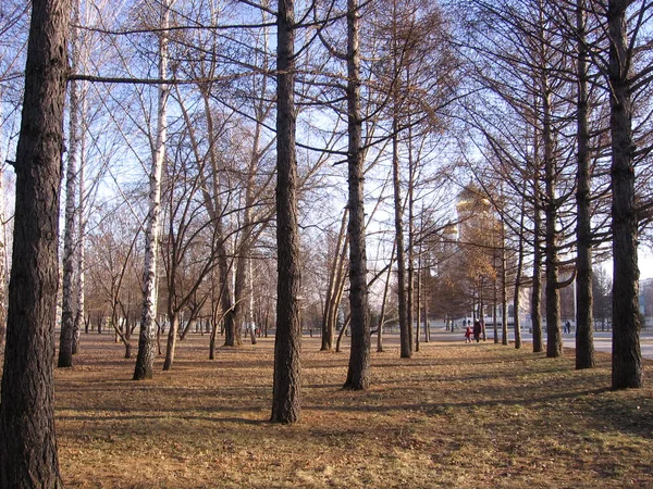 Herfst Park Met Bomen Steegje Voor Wandelaars Rust — Stockfoto