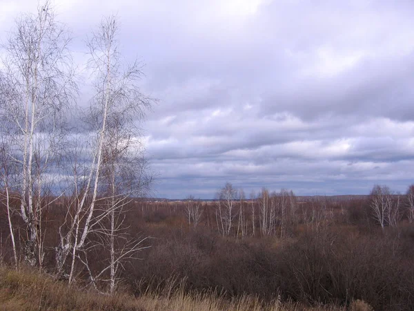 Bosque Seco Otoño Árboles Desnudos Las Colinas Clima Frío Lluvioso — Foto de Stock