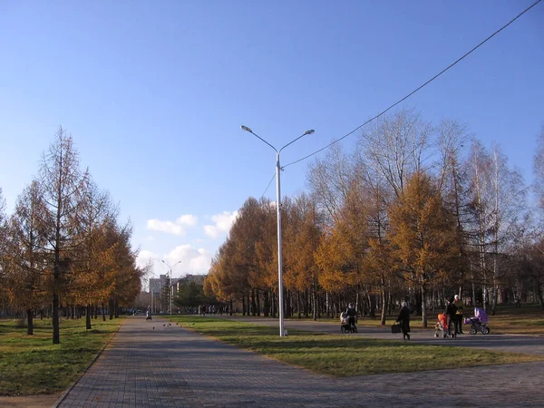 Russia Novosibirsk 1980 People Walk Park Autumn Mother Stroller Children — ストック写真