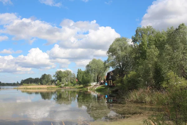 scenic view lake with grass overgrown swamp house on the beach in summer