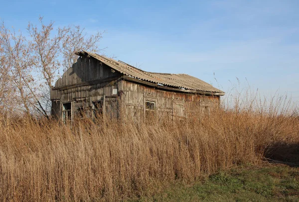 秋に乾いた草で覆われた放棄された村の古い荒廃した木造住宅 — ストック写真