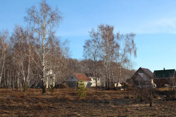 Huizen Het Dorp Ontwikkeling Het Voorjaar Het Bos Landelijk Landschap — Stockfoto