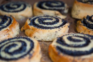 Haşhaş tohumlu ev yapımı tatlı çörekler. Hamur işleri