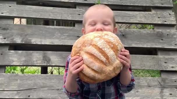 Μικρό Χαριτωμένο Αγόρι Κάθεται Ξύλινο Πάγκο Και Τρώει Καρβέλι Ψωμί — Αρχείο Βίντεο