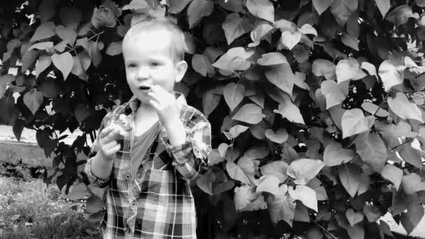Pequeno Menino Bonito Comendo Chocolate Jardim Preto Branco Vídeo — Vídeo de Stock