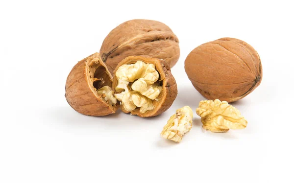 Beyaz arka plan üzerine açık ceviz portre