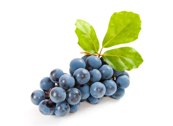 Winogrona granatowe z liść na białym tle — Zdjęcie stockowe