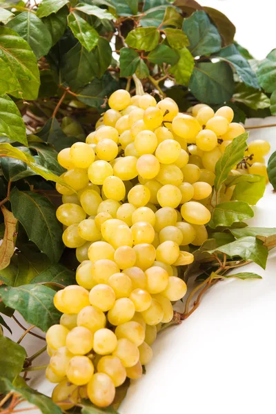 yellow wine grape with leaf on white background