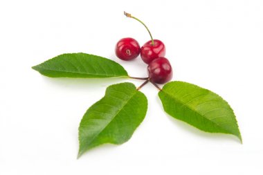 Güzel yaprak üzerinde beyaz ba izole kiraz berry kalp şeklinde