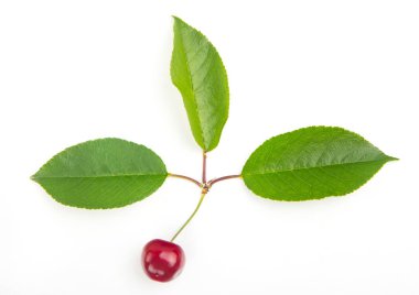 Güzel yaprak üzerinde beyaz ba izole kiraz berry kalp şeklinde