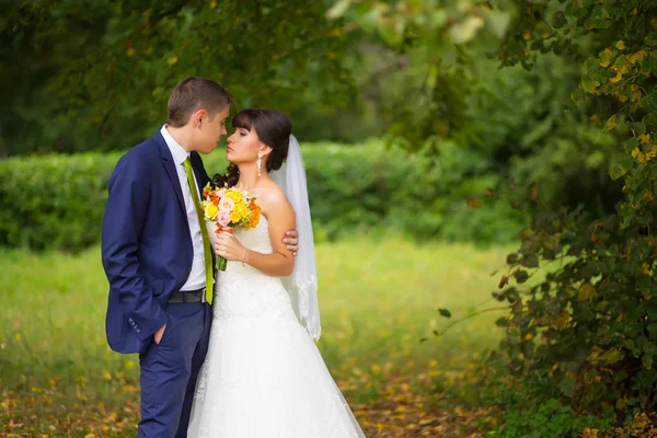 Coppia di nozze, bella giovane sposa e sposo in piedi in un pa — Foto Stock