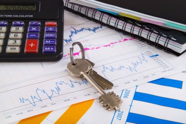 muhasebe. iş adamı office