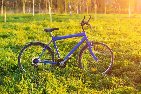 공원에 새로운 자전거 — 스톡 사진