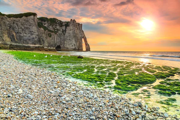 Espetacular praia musgosa e pôr do sol mágico perto de Etretat, Normandia, França — Fotografia de Stock
