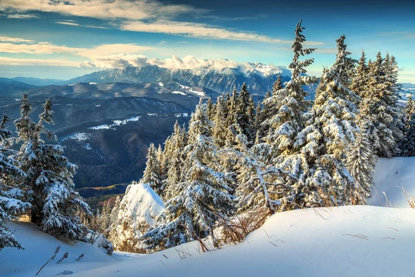 Paisaje mágico de invierno nevado, Poiana Brasov, Cárpatos, Transilvania, Rumania, Europa —  Fotos de Stock